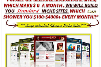 design a standard adsense niche site