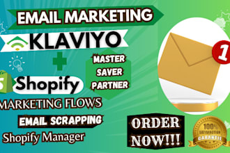 setup klaviyo email marketing, klaviyo flows, shopify marketing,shopifys manager