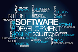 provide custom software development services