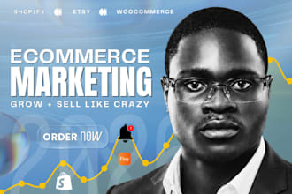 setup and manage ecommerce marketing to increase online store sales
