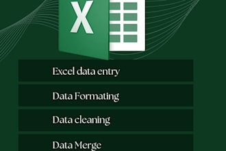 become your excel assistant,in data entry data cleaning work