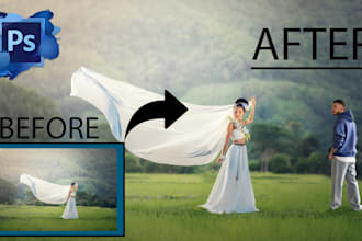 graphic design, object removal, custom adjustments