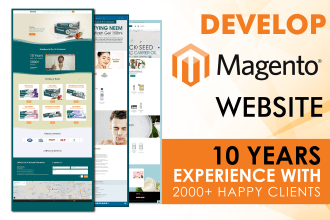 develop professional  magento website