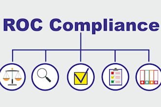 do all work related to roc, company compliance, annual returns, itr, roc filing