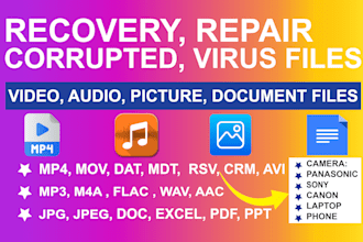 recover repair corrupted files or convert, backup, virus, encrypted data