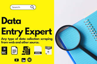 expert data entry, copy paste, and manual typing