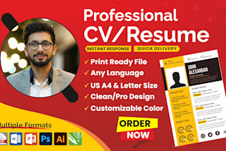 create professional cv design, resume design, expert cv maker