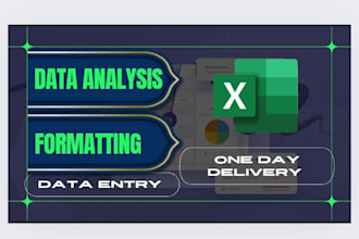 data analysis and entry services for business