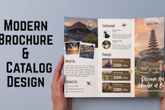 design a professional brochure, catalog, or business report