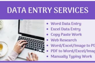 be your virtual assistant for web research, data collection, data entry, typing