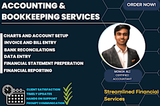 be your accountant for bookkeeping and financial statements