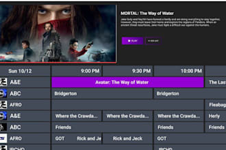 build custom iptv player, vod app, ott app with subscription plan and panel