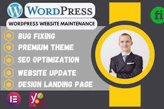 wordpress maintenance redesign elementor website support fix flatsome theme