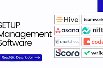 setup hive teamwork asana nifty smartsheet coda scoro wrike management software