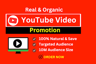 do organic youtube video promotion