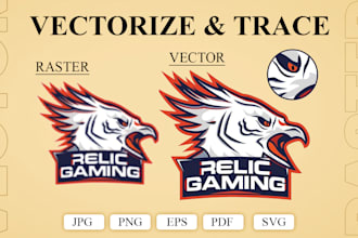 professional raster to vector and logo to vector