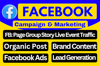 do facebook advertising and marketing for traffic, leads and sales