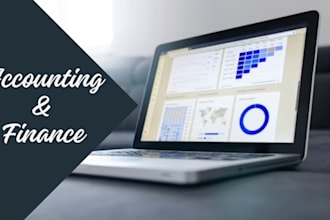 handle accounting reports, ethics, finance tasks, assignment, and economics