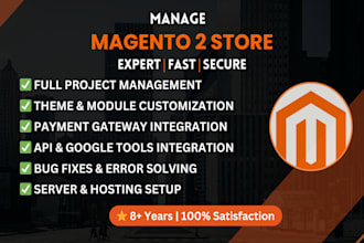 develop magento 2 store with API, google tools, payment and shipping setup