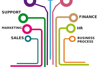 set up and customize zoho CRM ,forms, campaigns, creator