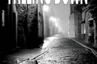 record voice over for your video book trailer