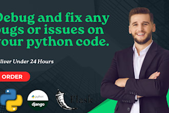 debug and fix any bugs on your python code with in 24h