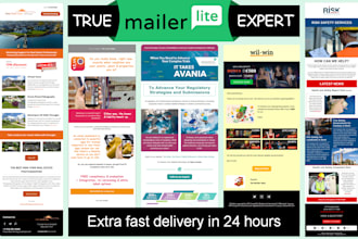 do your mailerlite email template in 24 hours