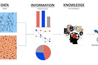 optimize your business and provide useful insights