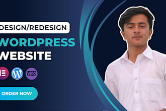 design, redesign, build, duplicate, copy clone or revamp wordpress website