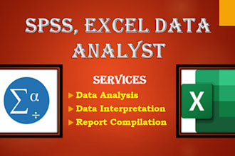 be your expert spss excel analyst for spss data analysis