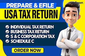 prepare and efile usa tax return for personal, llc, business c or s corporation