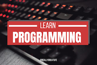 be your java tutor python tutor javascript tutor programming