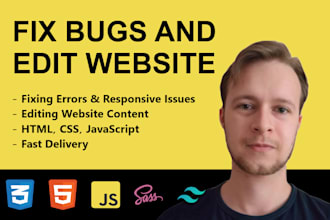 edit or fix your website