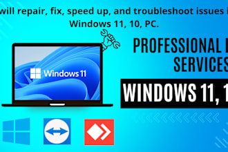provide remote IT support and computer maintenance