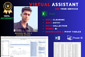 do ms excel  data cleaning and fasted data entry