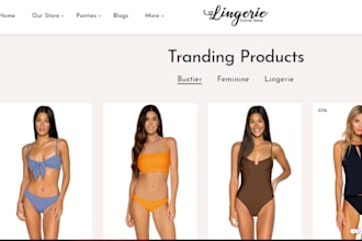 design stunning lingerie dropshipping shopify store bikini undergarments store