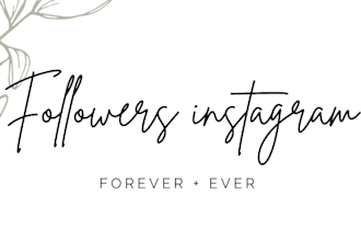 do insight on your instagram page