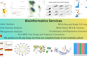 do advanced bioinformatics data analyses, statistics, and visualizations
