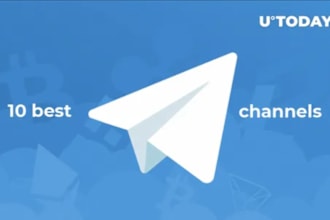 do crypto telegram promotion, telegram mass dm, forex telegram subscribers