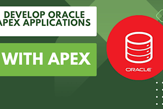 develop and bug fixing for oracle apex application