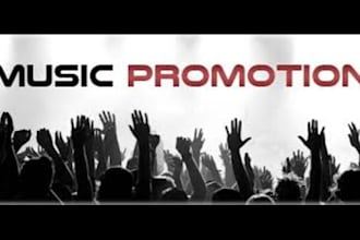 manage and run meta ads for your music