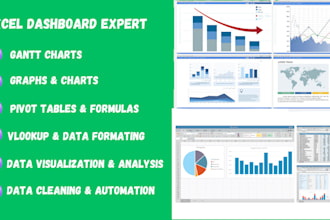 be expert in excel graphs, charts, vlookup, pivot tables, and data cleaning