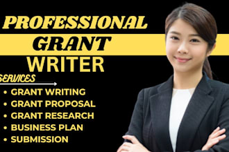 do grant writing, professional grant writer, grant writing and submission, plan
