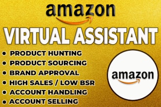 be an expert amazon virtual assistant and fba wholesale virtual assistant