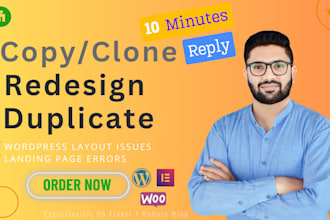 clone duplicate design revamp and redesign a wordpress website