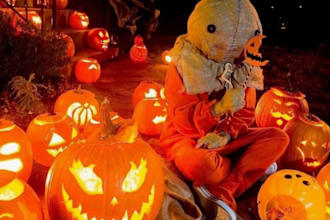 design halloween shopify store, christmas dropshipping, cloth shopify store