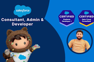 be your 4x certified salesforce consultant, admin and developer