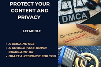 dmca or google take down complaint filed to protect your IP