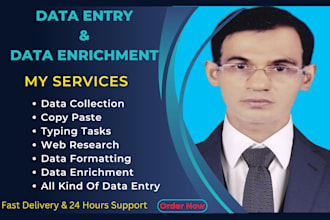 do all kind of data entry and data enrichment or appending