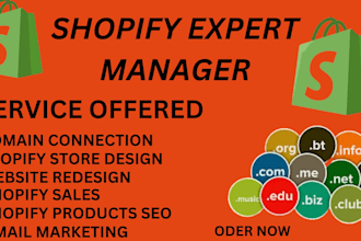 develop  shopify store domain name connection, website design store management